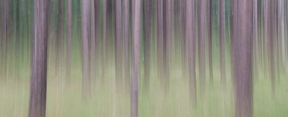 _DSC7282-2