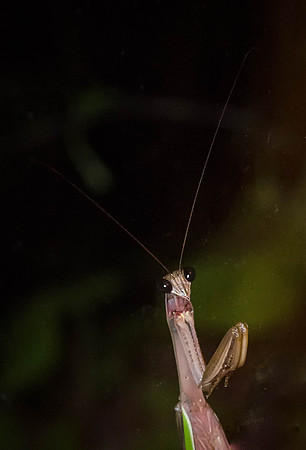 _DSC1601-Edit-Edit-Edit
