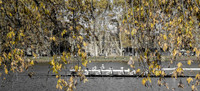_DSC2062-Edit