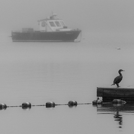 _DSC9701