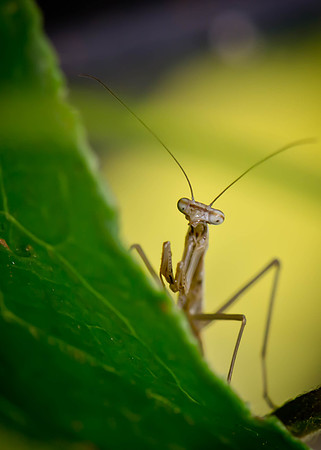 _DSC0825-Edit-Edit